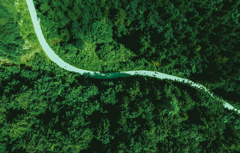 �����������ƶ���ɫ����