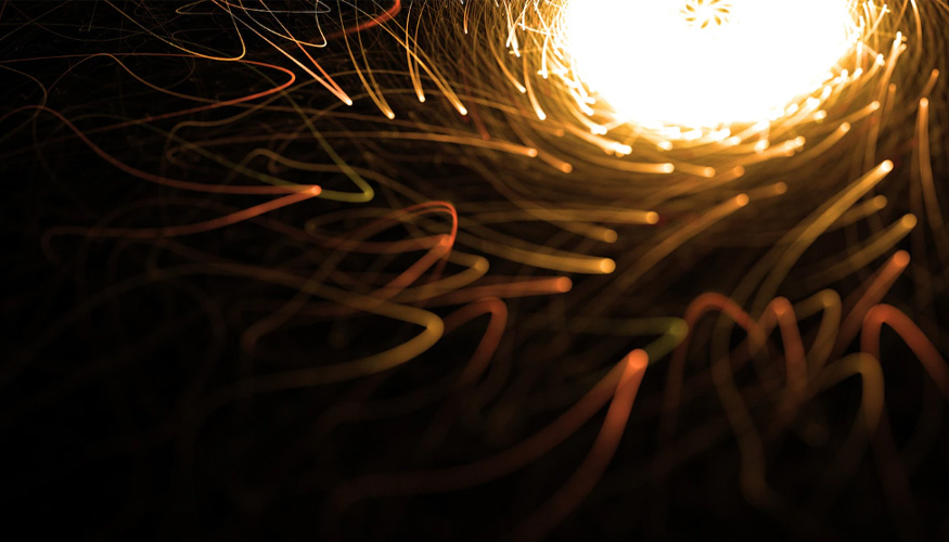 ���������Կ����Ե�������