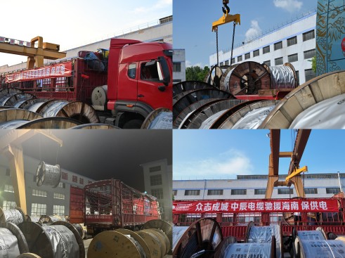 1729817189232056t2mq.jpg f40ca622148ce6cc15b0035c0a67380(1).jpg