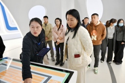 1765587693509654Dpav.jpg DSC_8731(1).jpg